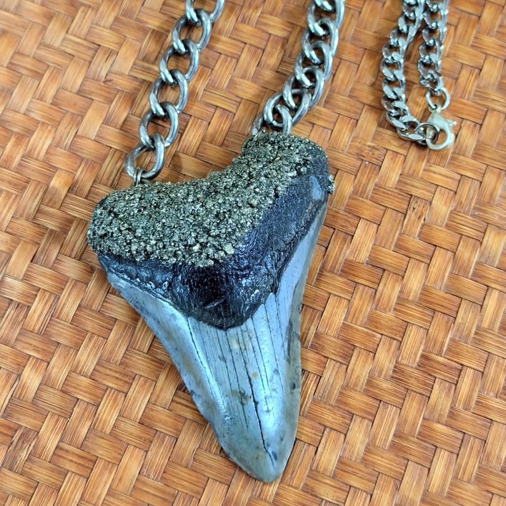 Shark / Megalodon tooth necklace